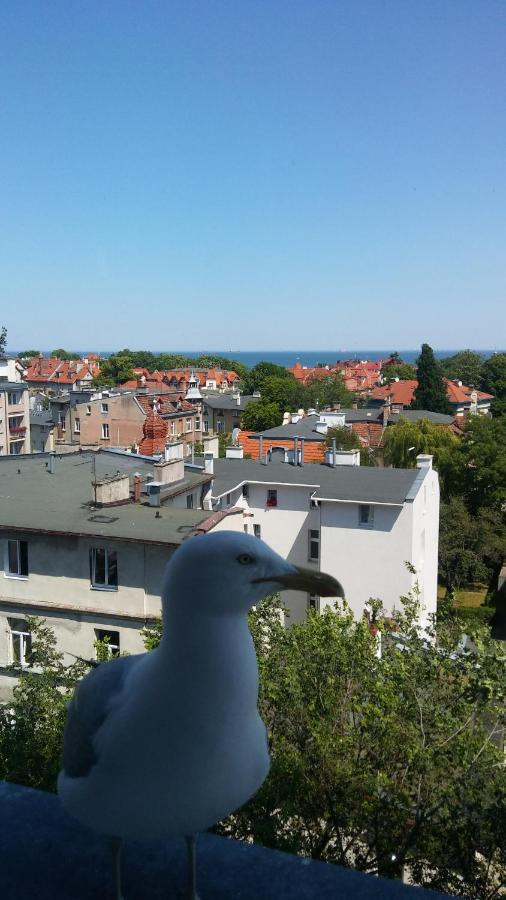 Z Widokiem Na Morze * Sopot